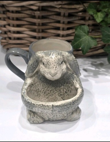 Next grey rabbit - next,